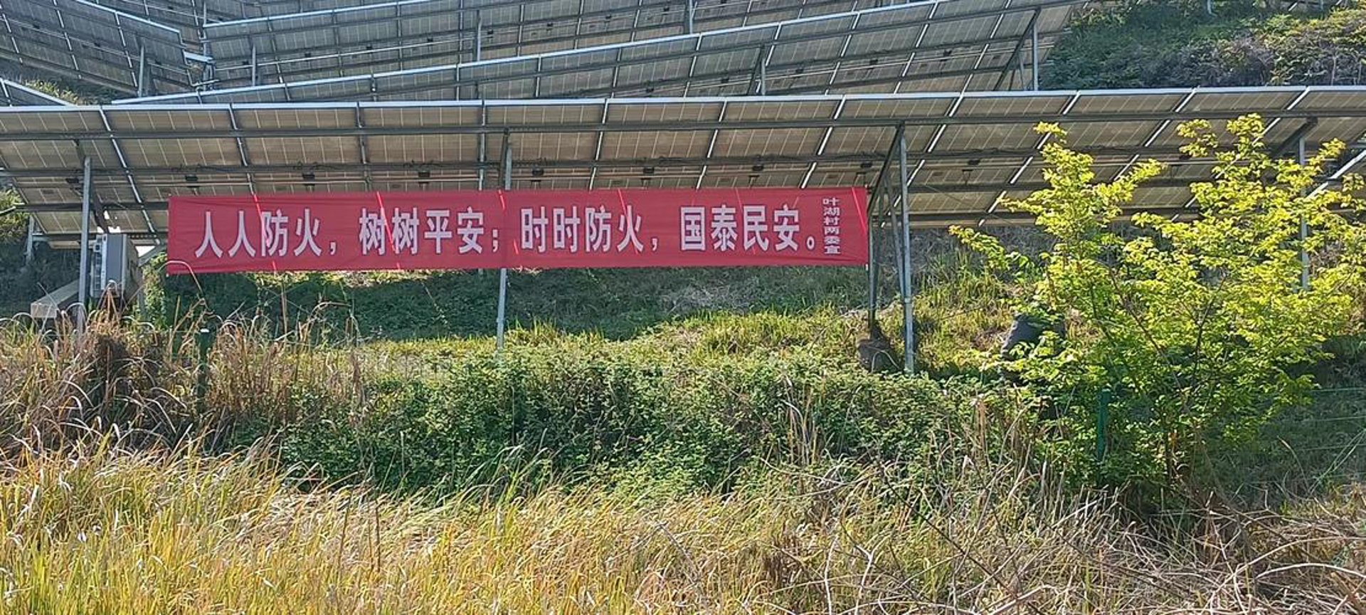 彬为树科技